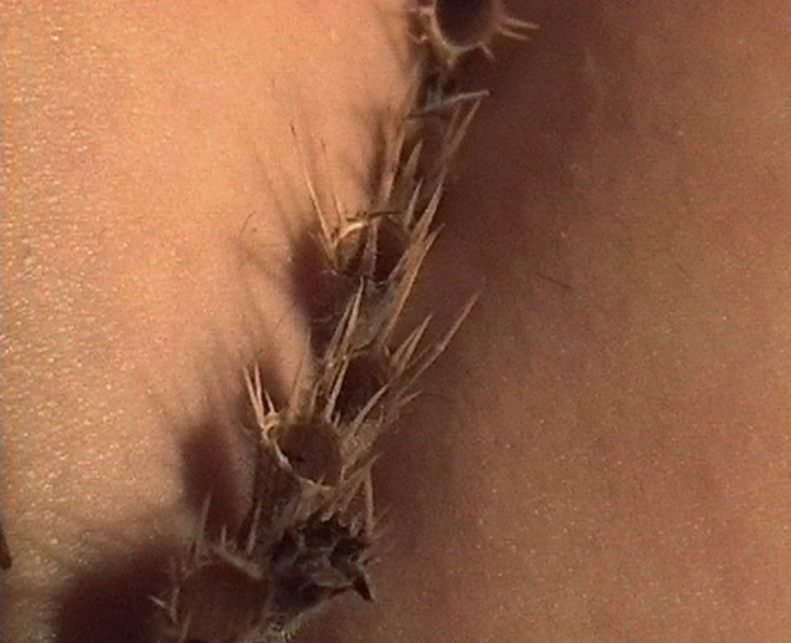 44102.jpg 44102.jpg